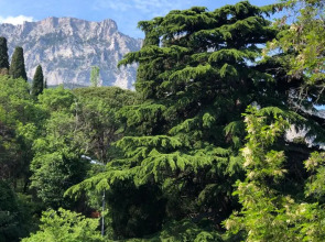 Мини Отель Кедр