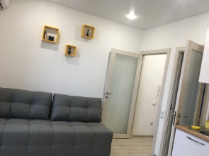 Апартаменты Пархоменко 473