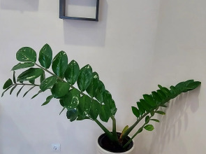 Квартира Рядом с Академией Единоборств