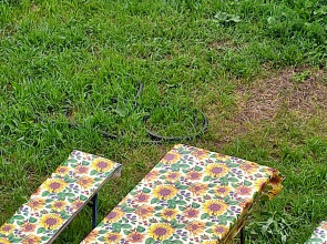 Меблированные комнаты Остров Счастья