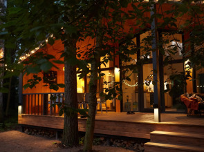 Частный дом Большая Репинская дача в лесу