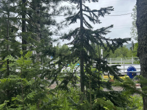 Гостевой Дом Брусника № 1