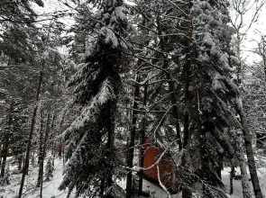 База отдыха Гринвальд 1474