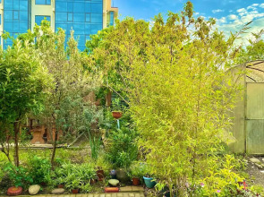 Мини-Отель Olympic House