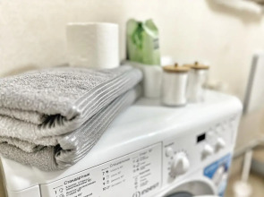 Квартира Елена Озерки