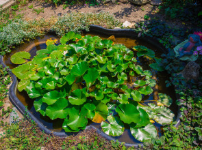 Частный дом Частный сектор на 40 лет Победы