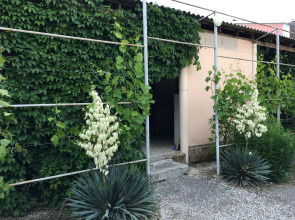 Частный дом Домик без докучливых хозяев