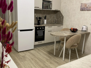 Квартира Уютная студия в ЖК Невская звезда