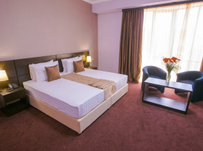 Отель Ani Central Inn