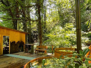 ЛЕС Глэмпинг и SPA