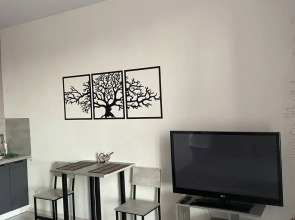 Апартаменты Комфортная студия рядом с ЖД вокзалом