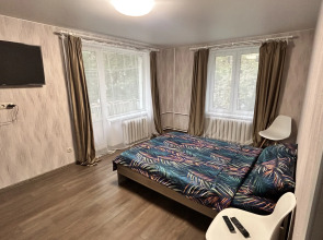 Квартира Уютная