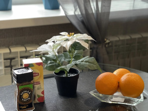 Апартаменты у центрального парка