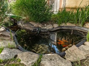 Гостевой дом Мелисса