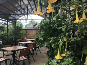 Гостевой дом Морская сказка