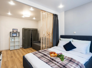 Улучшенные апартаменты Natali на метро Южная