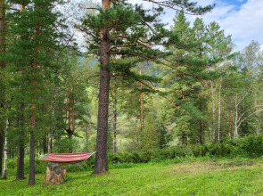 База отдыха Вдохни Алтай