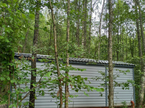 Кемпинг Модная коза