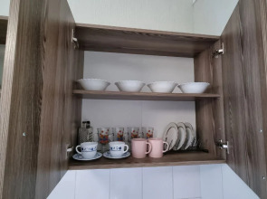 Улучшенные апартаменты Natali на метро Южная