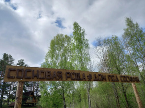 Гостевой дом Под соснами