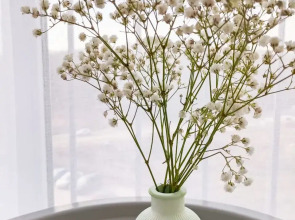 Квартира Green dreams