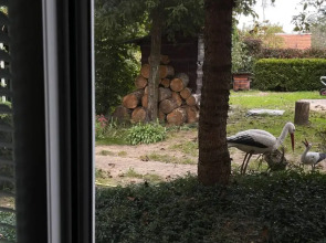 Гостевой дом у озера