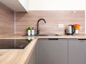 1-к в Центре в современном доме от RentAp 5 сп мест