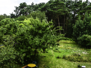 Гостевой дом Мини гостиница на Куршской косе поселок Рыбачий улица Набережная