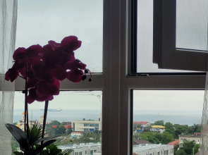 Квартира Cтудия c Видом на Море