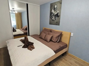 Апартаменты Skout Room