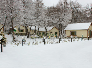 Отель Selena Resort