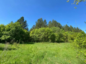 Вилла Усадьба Лесной Рай