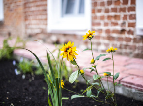 Гостевой дом-музей Красовских.