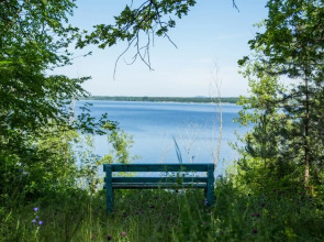 База Отдыха Сосновый Бор на Усе