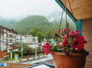 Апартаменты Green Berg 23