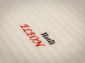 Мини-отель Eleon Domodedovo