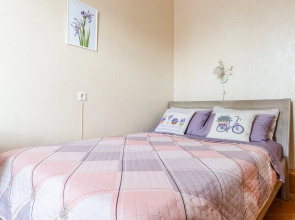 Квартира Евро-2 на Неве