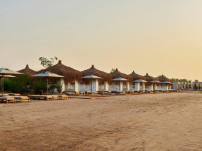 Lara Barut Collection