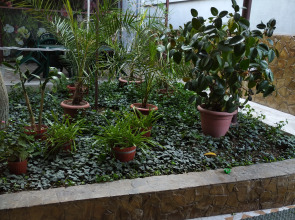 Гостевой Дом на Победе