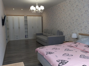 Апартаменты Однокомнатная квартира в центра Воронежа