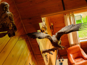 Загородный Эко-клуб "Три медведя"