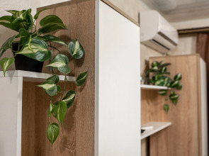 Апартаменты Студия Парижский Сон