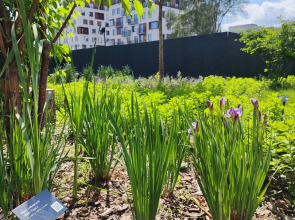 Студия у Метро Космонавтов