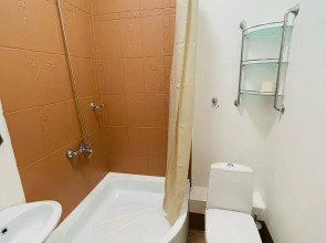 Апартаменты Однокомнатная Квартира в Центре на Никитинская 108