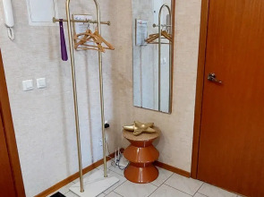 Апартаменты Просторная квартира в Центре