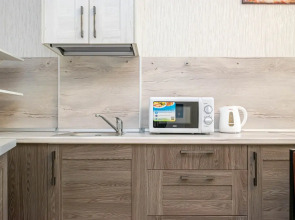 Апартаменты Cosmos Apart на Революции 54 (1)