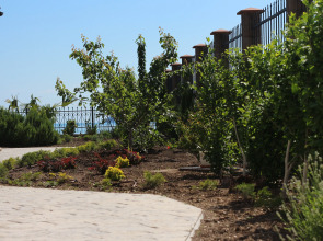 Апартаменты Авокадо