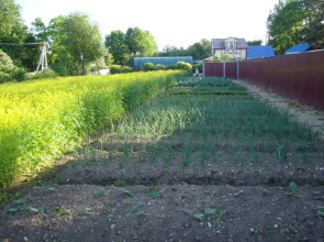 Гостевой дом КартошКино