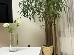 Квартира Сеть Апартаментов Атмосфера Лазурь  Удобство И Чистота Созданные Для Вас