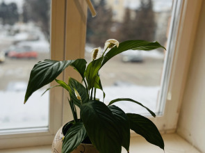 Апартаменты на Площади Ленина